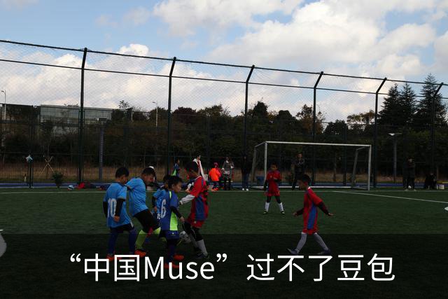 “中国Muse”过不了豆包