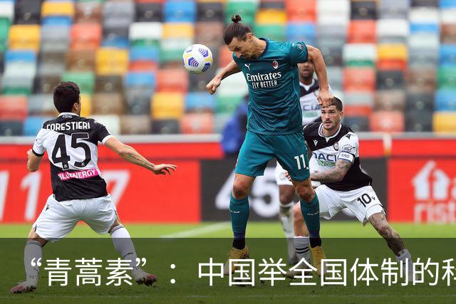 “青蒿素”：中国举全国体制的科研成果，屠呦呦在其中的恰当作用