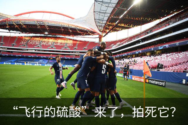 “飞行的硫酸”来了，拍死它？