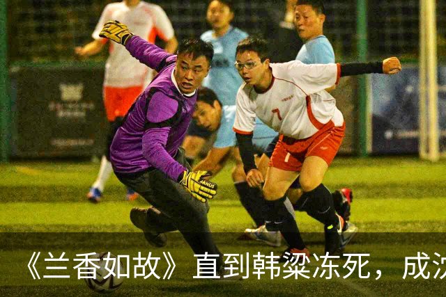 《兰香如故》直到韩粱冻死，成沈其翰2.0才知，他和林锦岐差在哪
