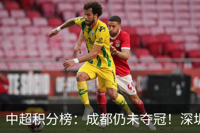 中超积分榜：成都仍未夺冠！深圳、辽宁提前上岸，武汉基本降级