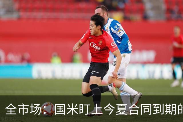 全市场：国米盯上今夏合同到期的贝尔纳韦，新总监看好他