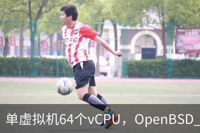 单虚拟机64个vCPU，OpenBSD 8.0把虚拟化拉满了