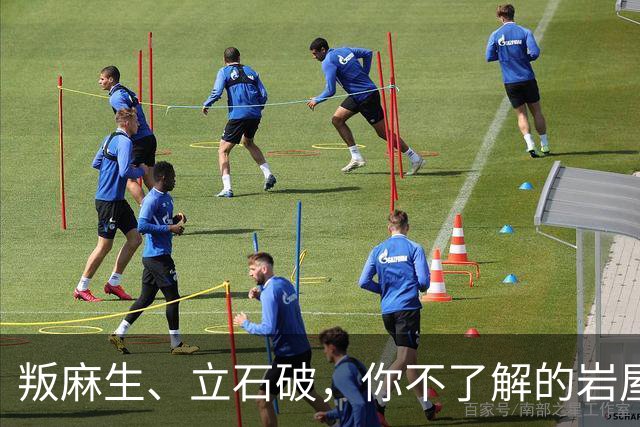 叛麻生、立石破，你不了解的岩屋毅！