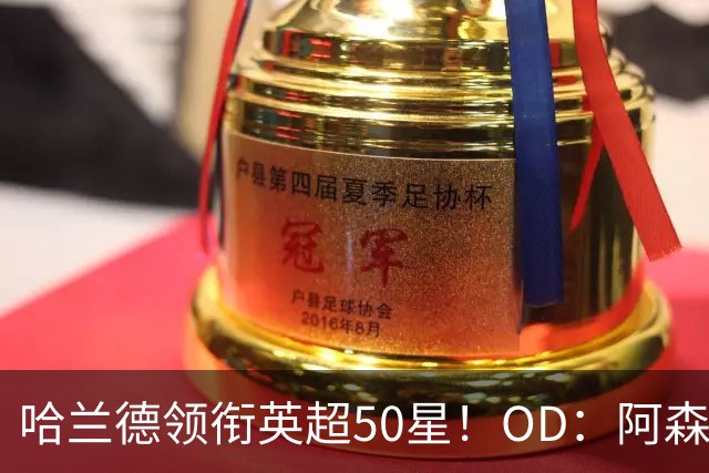 哈兰德领衔英超50星！OD：阿森纳6人进前十