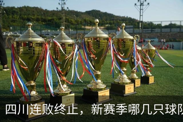 四川连败终止，新赛季哪几只球队能保级成功？