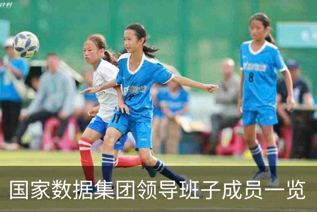 国家数据集团领导班子成员一览（附简历）