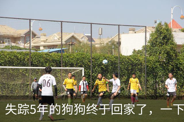 失踪5年的狗狗终于回家了，一下飞机就认出家人，这一幕真让人绷不住了！
