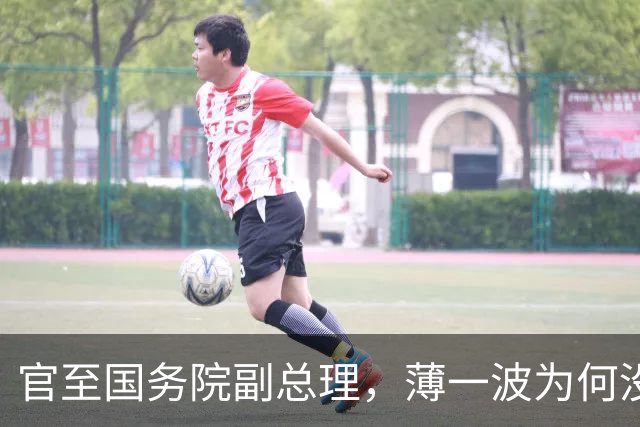 官至国务院副总理，薄一波为何没当上政治局委员？