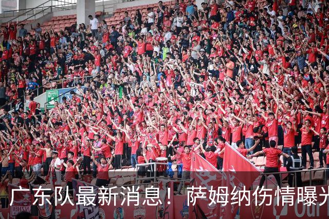 广东队最新消息！萨姆纳伤情曝光，CBA冠军内线有望加盟！