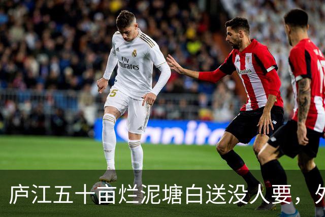 庐江五十亩烂泥塘白送没人要，外乡人租六年，藕卖完连夜走了