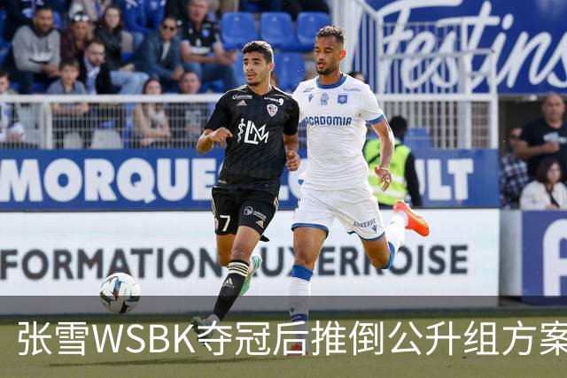 张雪WSBK夺冠后推倒公升组方案：弃四缸改自研V5，两年冲公升组经理放话全力托底