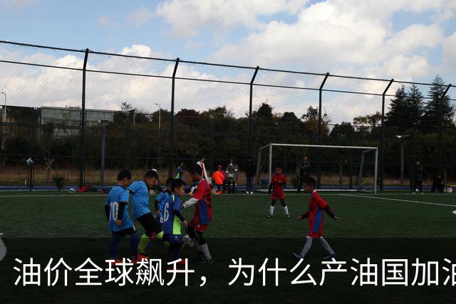 油价全球飙升，为什么产油国加油反而更便宜？