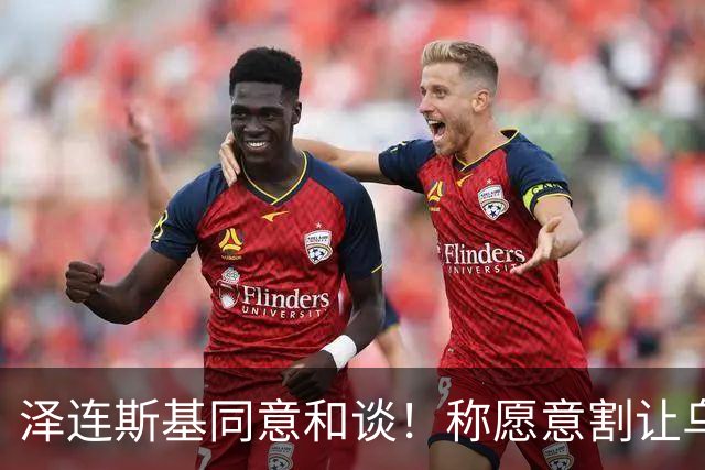 泽连斯基同意和谈！称愿意割让乌克兰25%领土，那实际丢了多少？