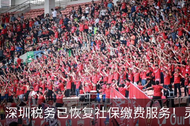 深圳税务已恢复社保缴费服务！灵活就业人员补缴差额完整操作指南