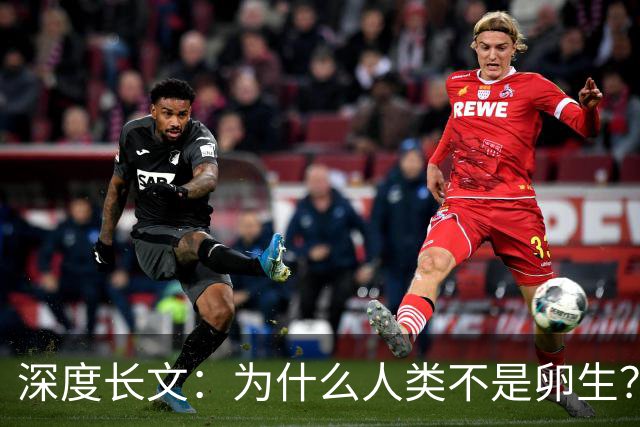 深度长文：为什么人类不是卵生？说出来你可能不信，这事3亿年前就定好了
