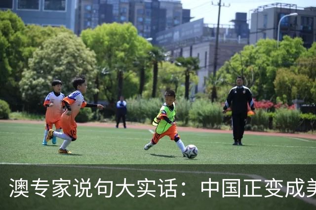 澳专家说句大实话：中国正变成美国，美国正在变苏联
