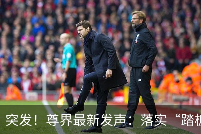 突发！尊界最新发声：落实“踏板升级”，未提“召回”