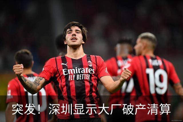 突发！深圳显示大厂破产清算