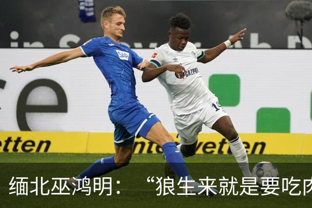 缅北巫鸿明：“狼生来就是要吃肉的”