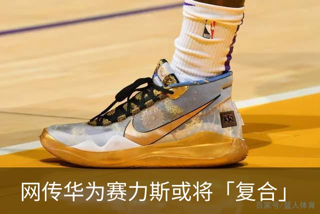 网传华为赛力斯或将「复合」