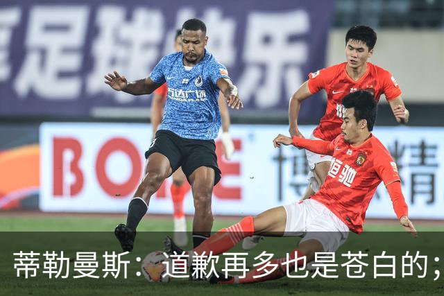 蒂勒曼斯：道歉再多也是苍白的；我们几乎所有环节都脱节了