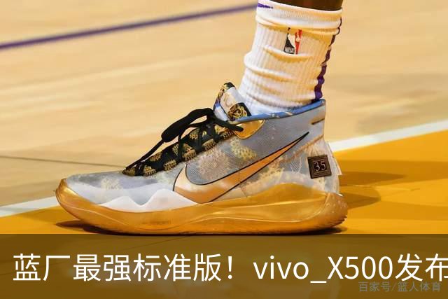 蓝厂最强标准版！vivo X500发布：5499元起
