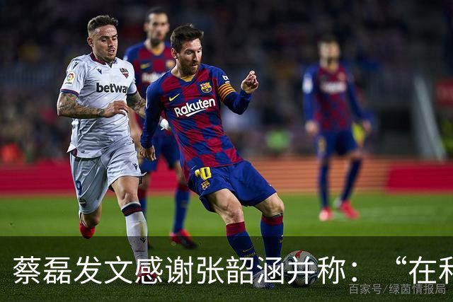蔡磊发文感谢张韶涵并称：“在和时间赛跑的路上咬牙前行”