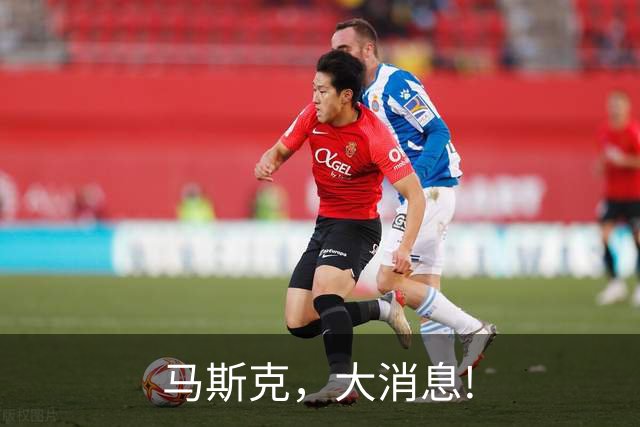 马斯克，大消息!