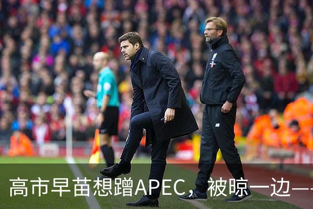 高市早苗想蹭APEC，被晾一边——这台阶修成滑梯还铺“鬼火”，滑不滑稽？