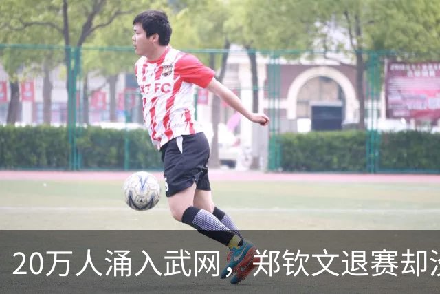 20万人涌入武网，郑钦文退赛却没退票！球迷：下次还来看演唱会